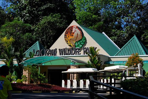 Study and Daily Life: Lok Kawi Wildlife Park, Sabah, Malaysia